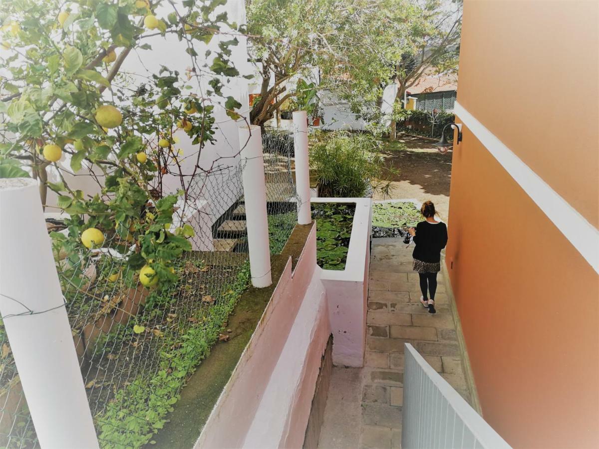 Apartamento Lemmon Tree Санта-Бріхіда Екстер'єр фото